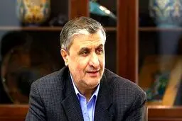 رییس سازمان انرژی اتمی وارد وین شد