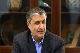 رییس سازمان انرژی اتمی وارد وین شد