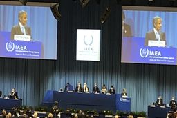 مدیرکل آژانس: امیدواریم به مسائل اضطراری برنامه هسته‌ای ایران رسیدگی کنیم