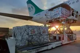 سیلِ واکسن و چند پرسش