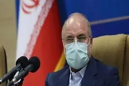 طرح شفافیت در بازگشت مجدد به صحن، رأی بالا می‌آورد