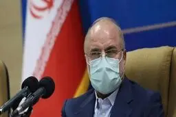 طرح شفافیت در بازگشت مجدد به صحن، رأی بالا می‌آورد