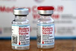 مدرنا: پایان کرونا تا یک‌سال دیگر