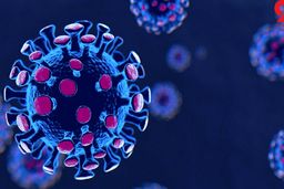 بهار آینده کرونا شبیه سرماخوردگی است