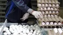 تخم‌مرغ جایگزین گوشت شد