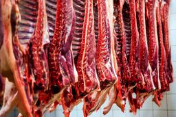 قیمت گوشت قرمز مشخص شد/ مشکلی جدید؛ افزایش دام لاغر در دامداری ها!