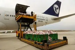 فرود بوئینگ ۷۴۷ با ۴۰ تن گوشت در فرودگاه پیام + تصاویر