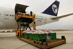 فرود بوئینگ ۷۴۷ با ۴۰ تن گوشت در فرودگاه پیام + تصاویر