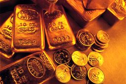 سگه گران شد