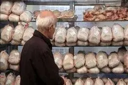 مرغ و گوشت کمی ارزان شد