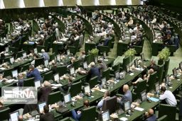 قوانین در کشور ما چطور متورم می‌شود؟