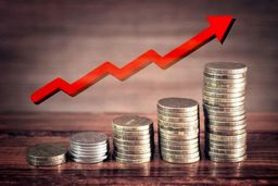 جایگزین فوری پول تورمی