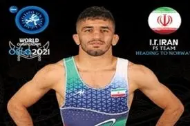 سرلک فینالیست شد