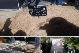 فتحعلی اویسی در خانه ابدی آرام گرفت