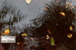 کاهش ۷۰ درصدی بارش‌ها در حوزه آبریز شرق