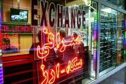 سکه بازان هیجان زده شده اند!