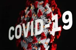 شمار مبتلایان از ۲۰۰ میلیون نفر عبور کرد