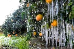 هشدار هواشناسی؛ یخبندان در راه ۱۱ استان کشور