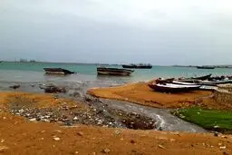 خسارت و فوتی طوفان شاهین