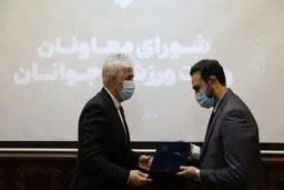 وحید یامین پور سرپرست معاونت امور جوانان وزارت ورزش و جوانان شد