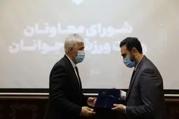وحید یامین پور سرپرست معاونت امور جوانان وزارت ورزش و جوانان شد