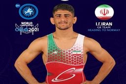 کسب سومین مدال طلای کشتی فرنگی توسط دلخانی