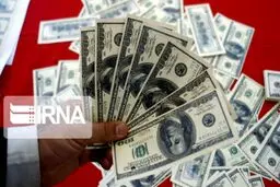 نقش ارز ۴۲۰۰ تومانی در افزایش قاچاق معکوس از کشور