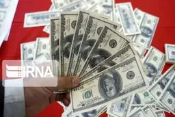 نقش ارز ۴۲۰۰ تومانی در افزایش قاچاق معکوس از کشور