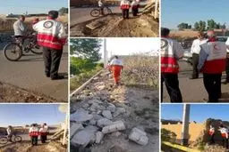 زلزله زرند کرمان تلفات جانی نداشت