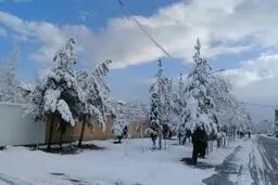 پیش‌بینی کاهش ۵ تا ۱۰ درجه‌ای دما در ۱۴ استان/برف و باران در راه است