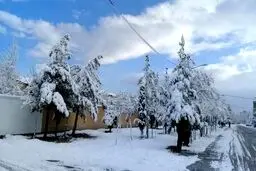 پیش‌بینی کاهش ۵ تا ۱۰ درجه‌ای دما در ۱۴ استان/برف و باران در راه است