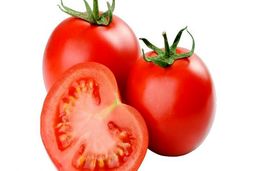 گوجه‌فرنگی، معجزه‌گر درمان کبد چرب