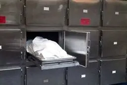 رکود عجیب،مرد ۲۹ زنه ایرانی!