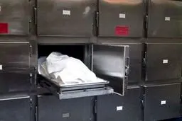 رکود عجیب،مرد ۲۹ زنه ایرانی!