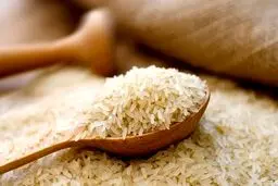 برنج ارزان می شود؟