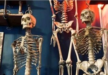 فروش استخوان انسان!