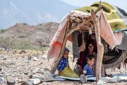 سازمان بین المللی مهاجرت: کمک های بشر دوستانه به یمن افزایش می یابد