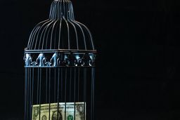 نوسانات قیمت دلار ویورو