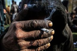 زمستان و مهاجرت معتادان متجاهر