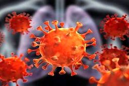 آخرین تلاش سازمان جهانی بهداشت برای کشف منشاء ویروس کرونا؟