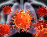 آخرین تلاش سازمان جهانی بهداشت برای کشف منشاء ویروس کرونا؟