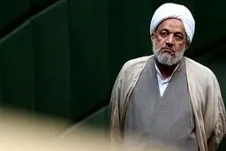 برای تصویب طرح صیانت مصمم هستیم
