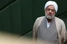 برای تصویب طرح صیانت مصمم هستیم