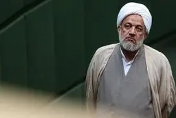 برای تصویب طرح صیانت مصمم هستیم