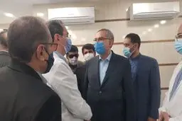 وزیر بهداشت:تحقق مطالبات کادر درمان در حال پیگیری است