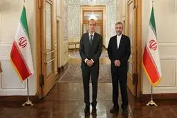 اتحادیه اروپا: به محض دریافت پاسخ تهران و واشنگتن، آماده تشکیل جلسه مذاکره وین هستیم