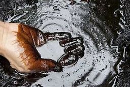 ۴۲ برابر یارانه، سهم ما از نفت است!