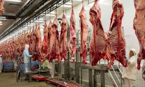 شتاب حذف گوشت از سفره‌ها