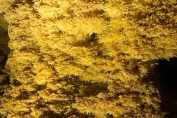 نجات پرماجرای زرین غار