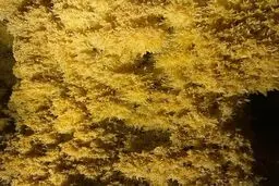 نجات پرماجرای زرین غار